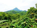 五指山