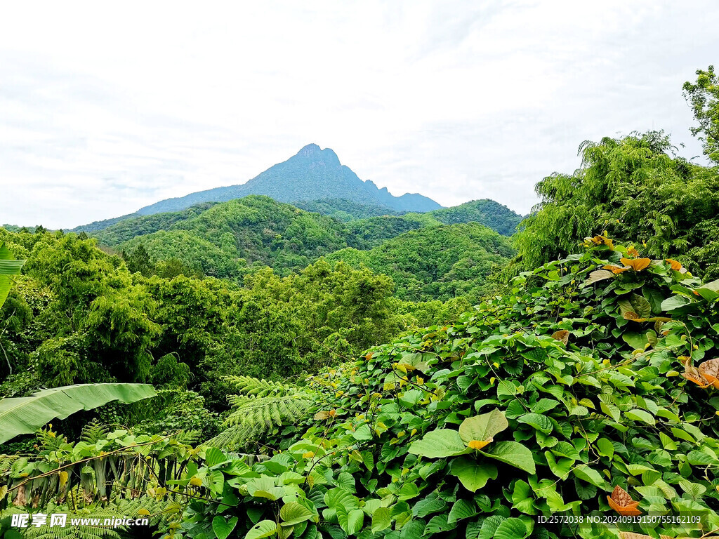 五指山