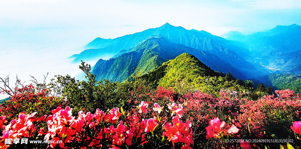 芒砀山