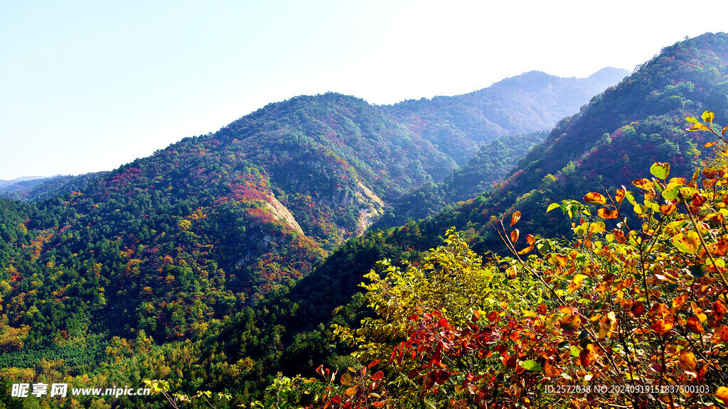  桐柏山