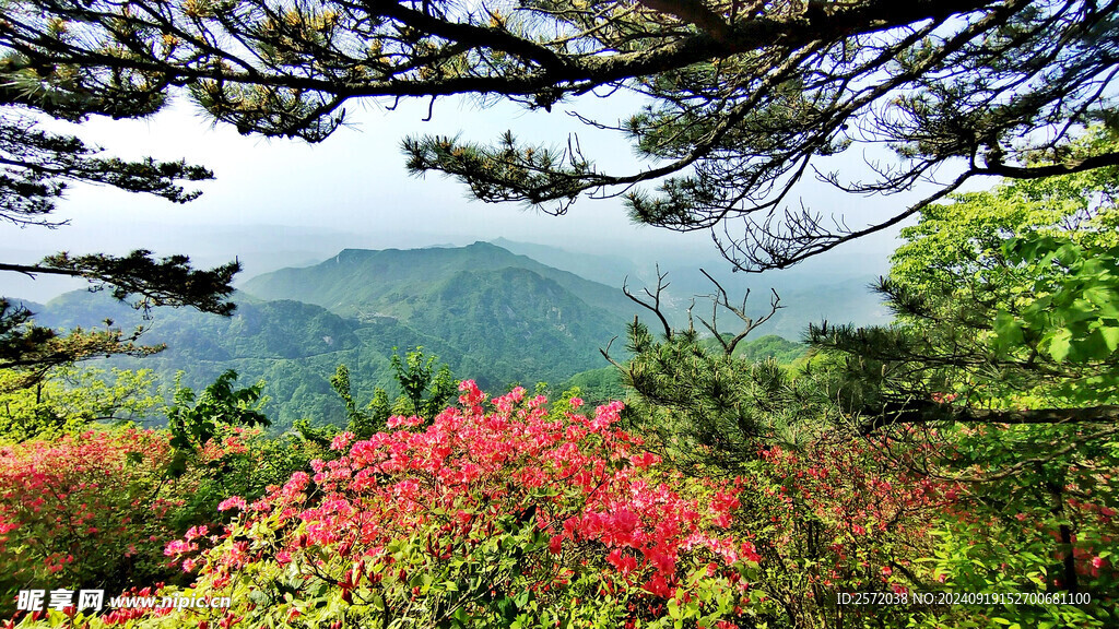 龟峰山
