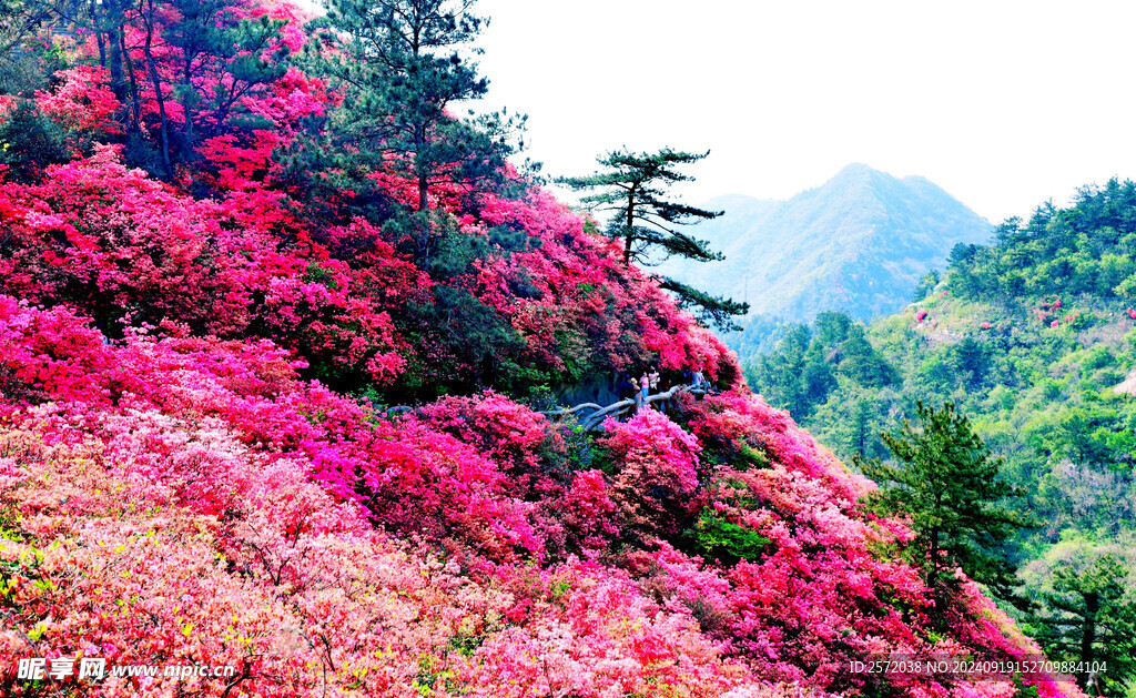  木兰云雾山