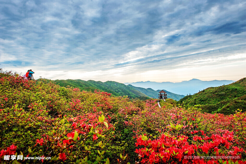 浏阳大围山