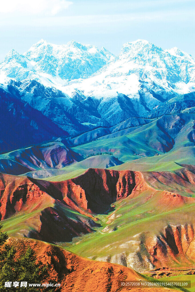 卓尔山