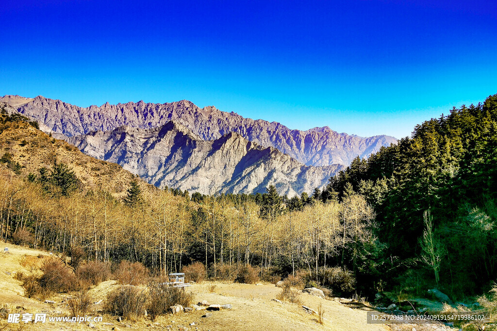 贺兰山