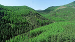 六盘山