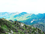  沂蒙山