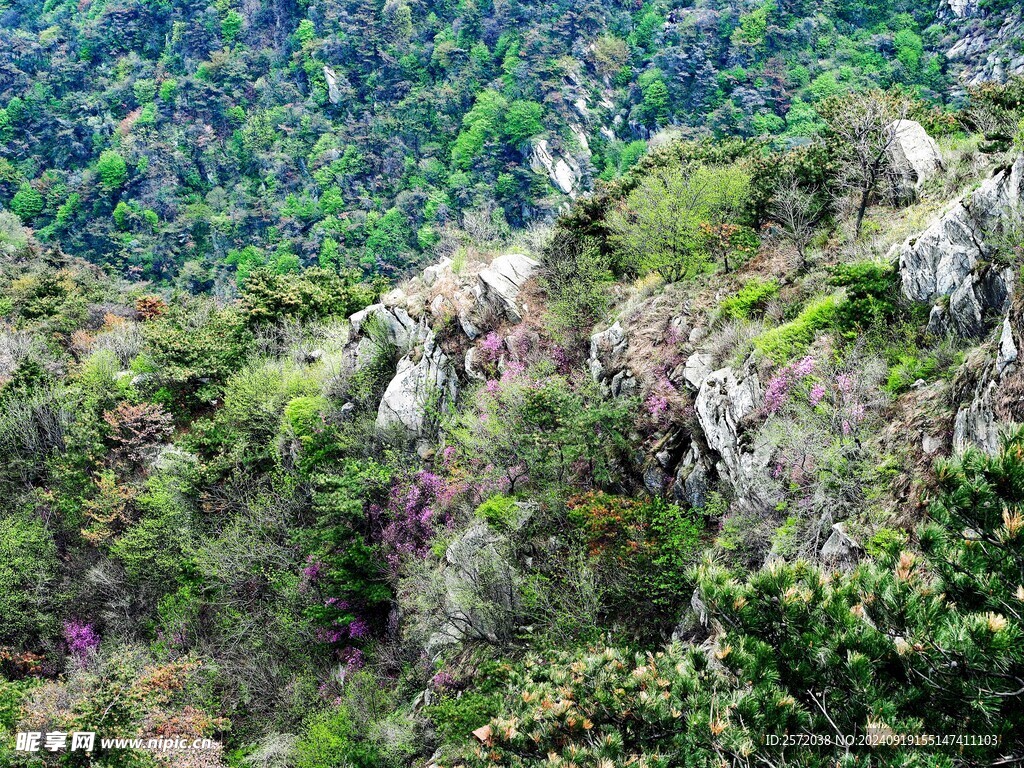  沂蒙山