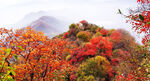秦岭凤凰山