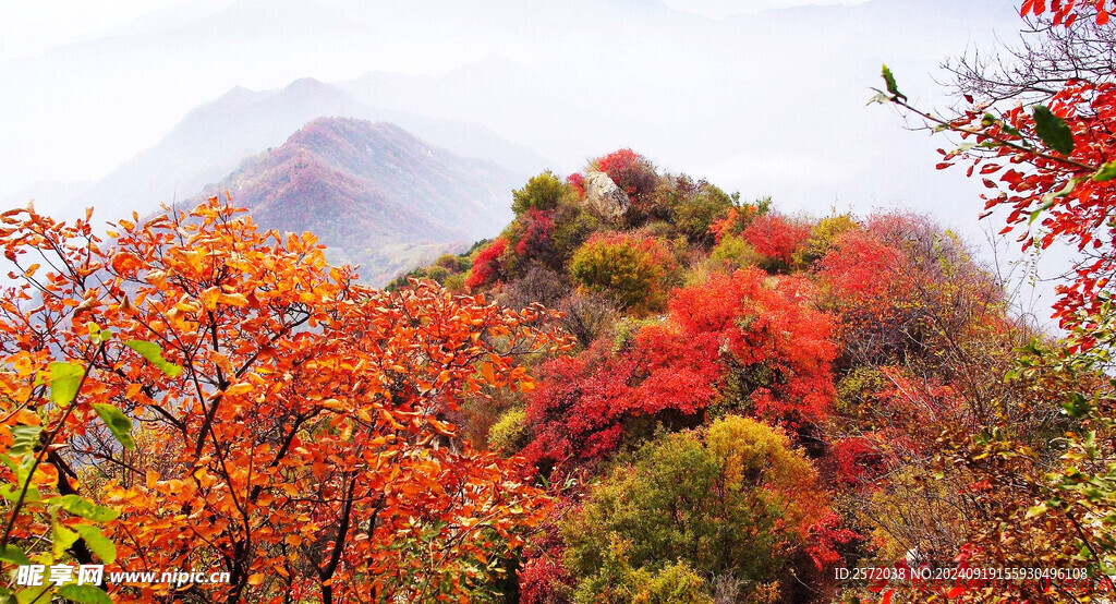 秦岭凤凰山