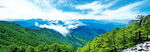 太白山