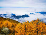 太白山