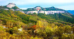 照金香山