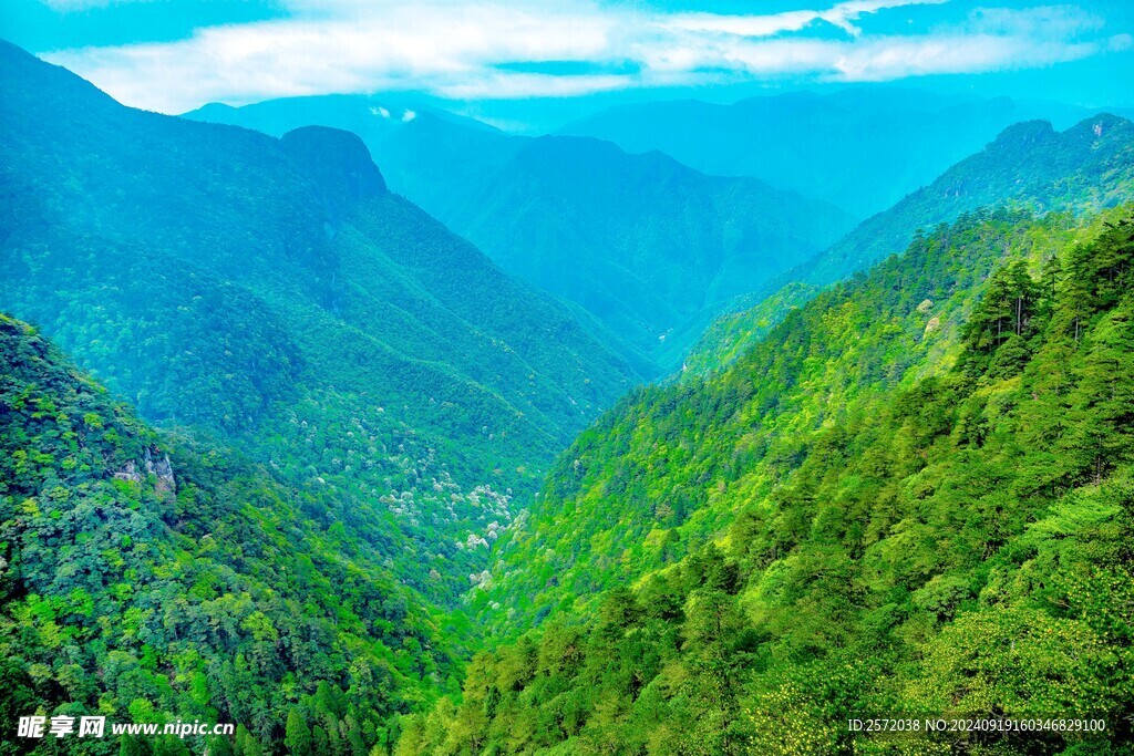 龙泉山