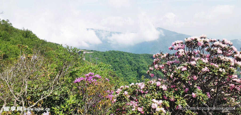 光雾山
