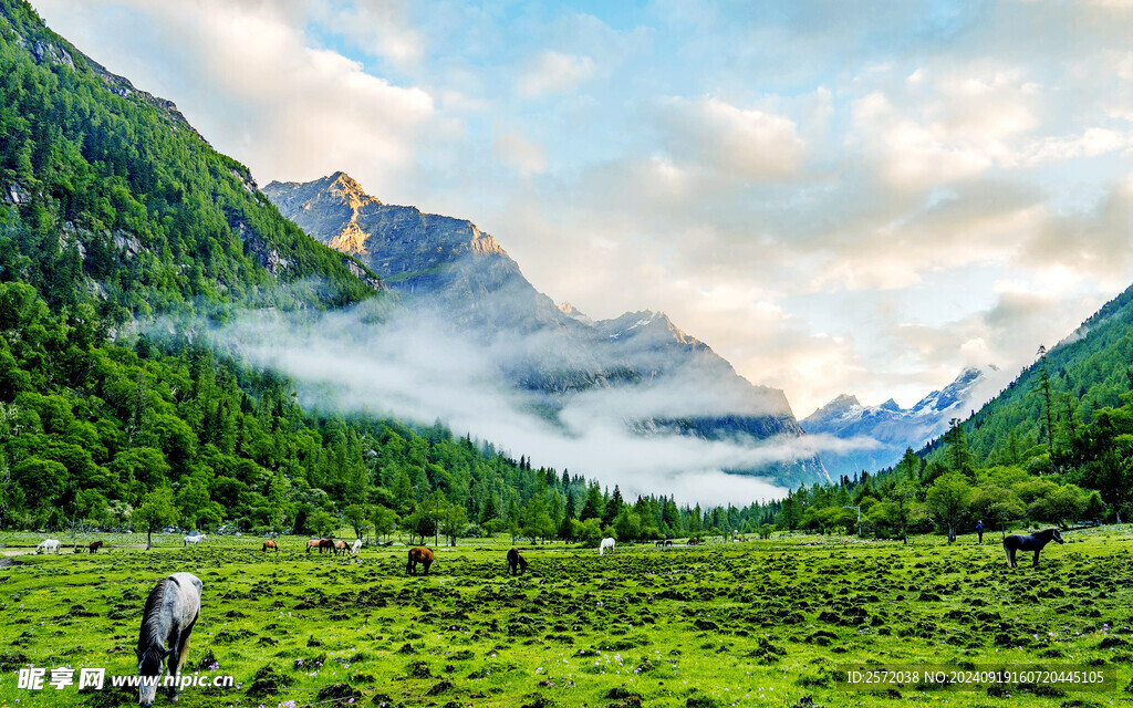 四姑娘山