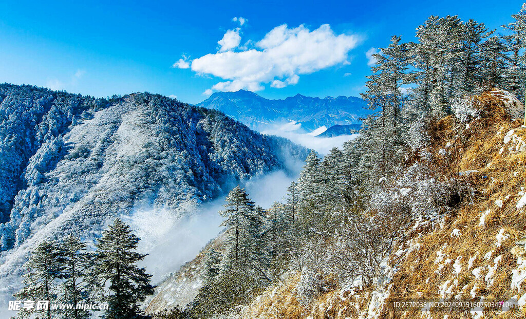 西岭雪山