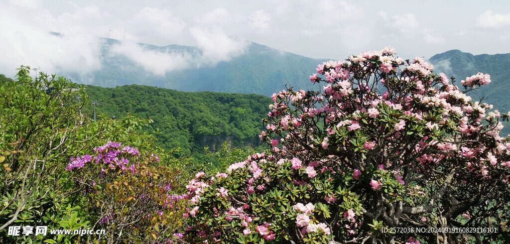 光雾山