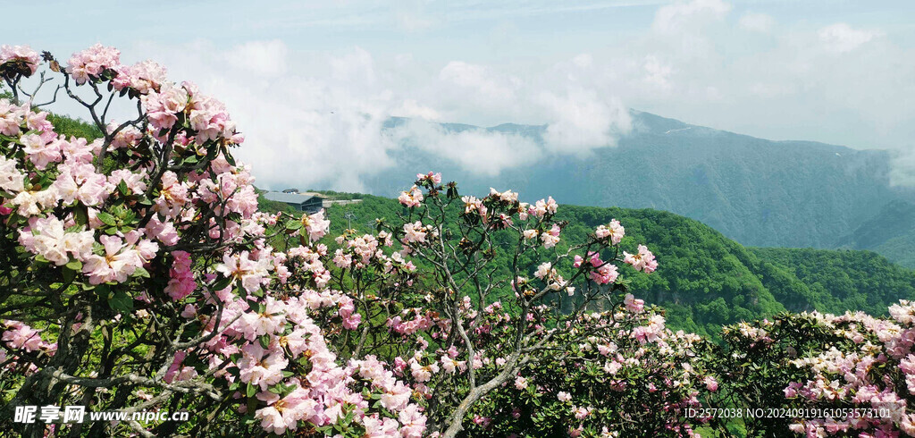 光雾山