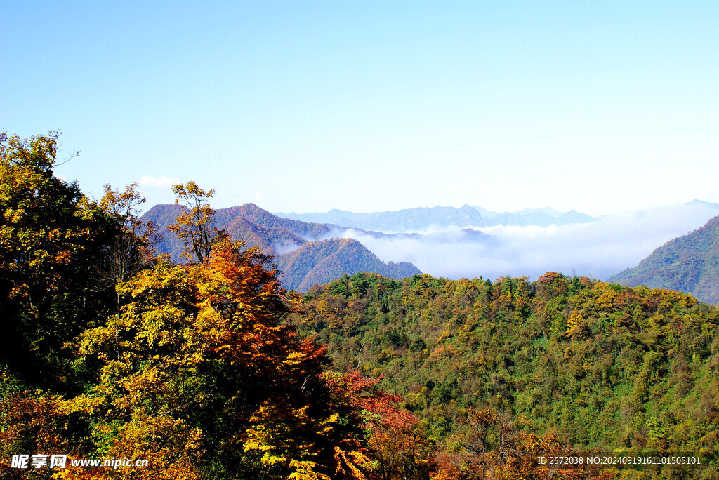 光雾山