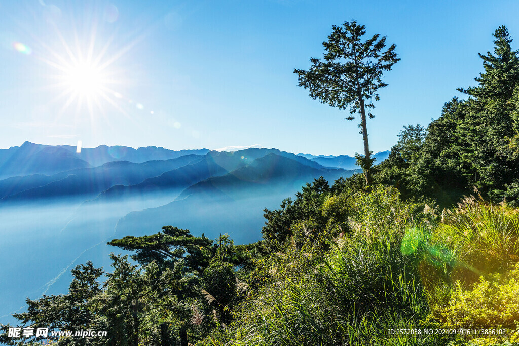 阿里山