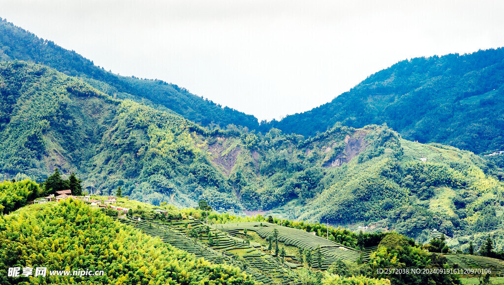 阿里山