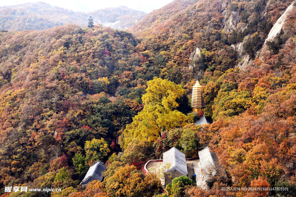  盘山