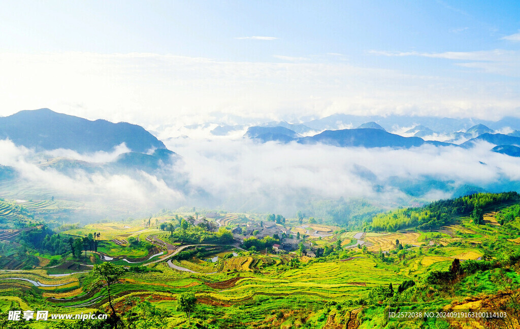 杨丰山