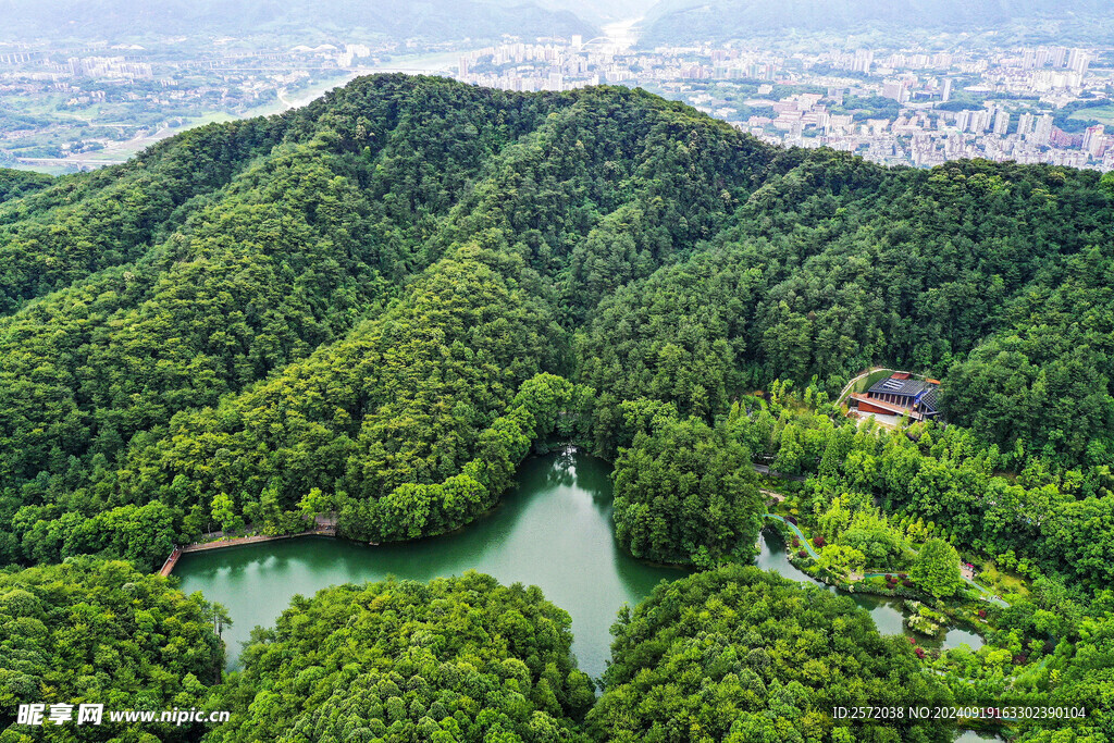 缙云山