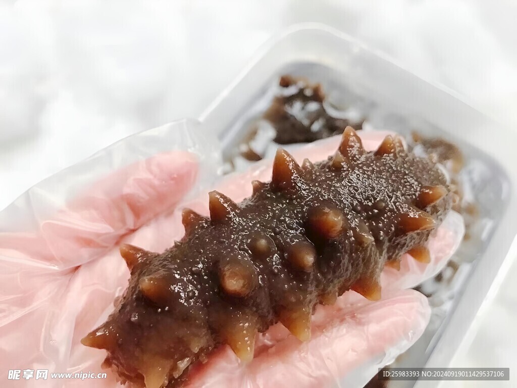 海参 