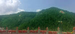 南山寿字