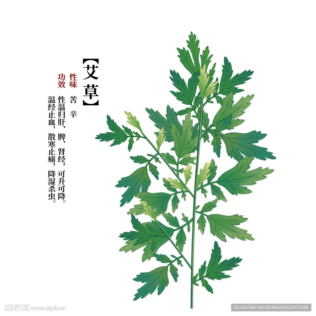 艾草植物标签