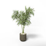 C4D模型 绿色植物