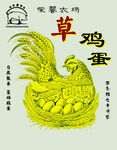 草鸡蛋