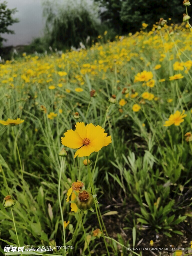 自然风景图摄影