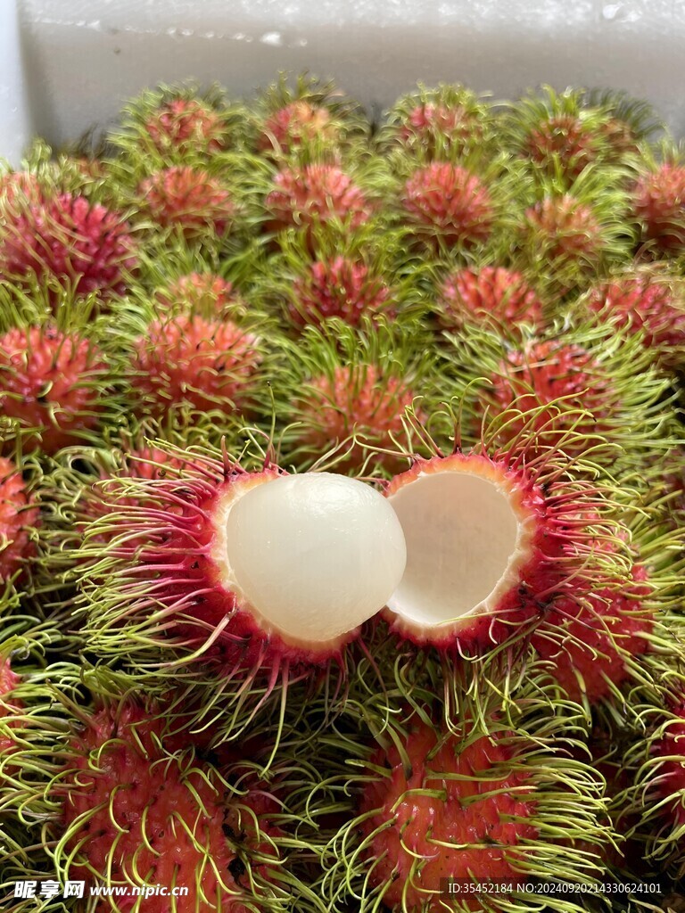 红毛丹