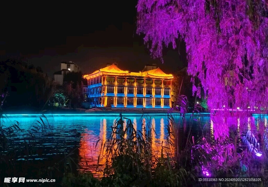 蓼河夜景