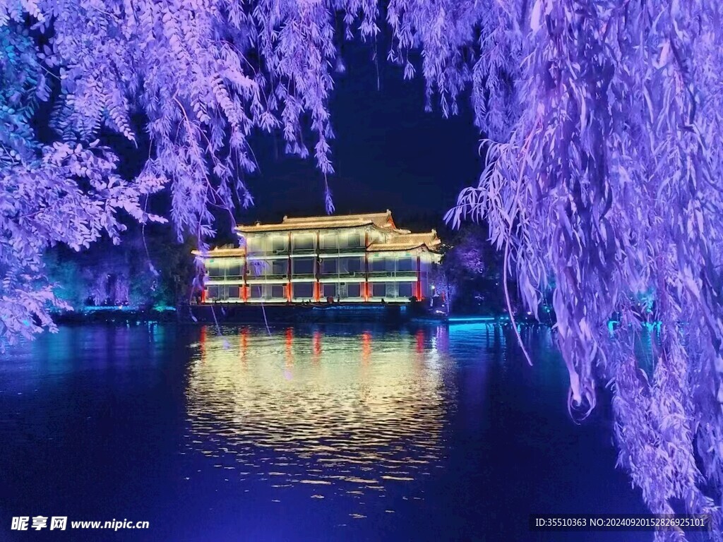 蓼河夜景