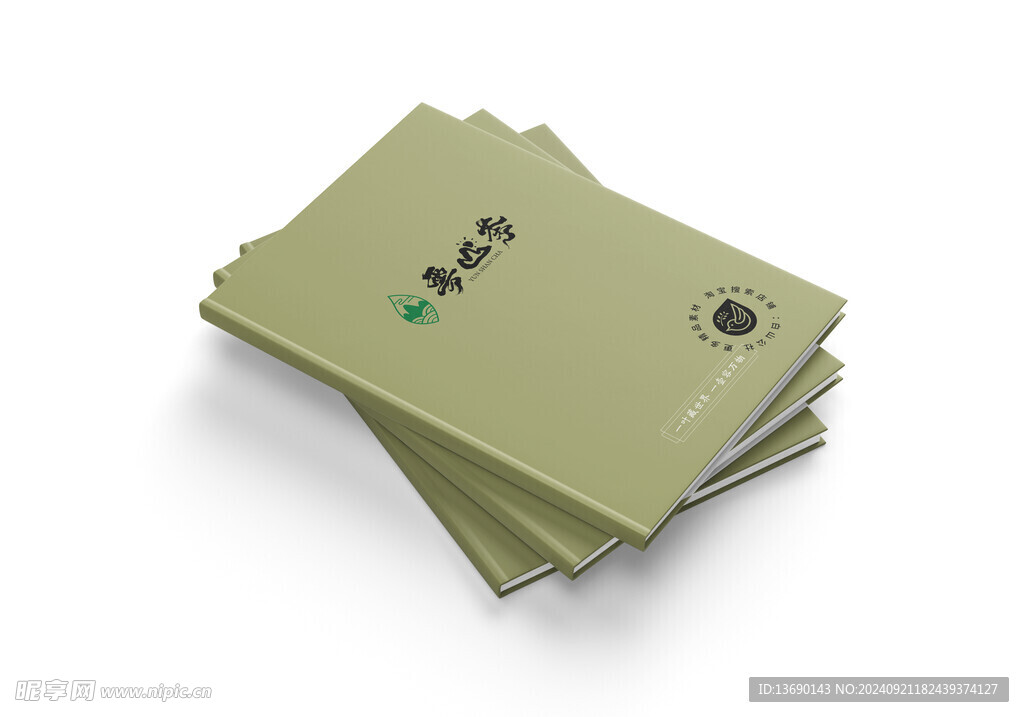画册品牌样机         