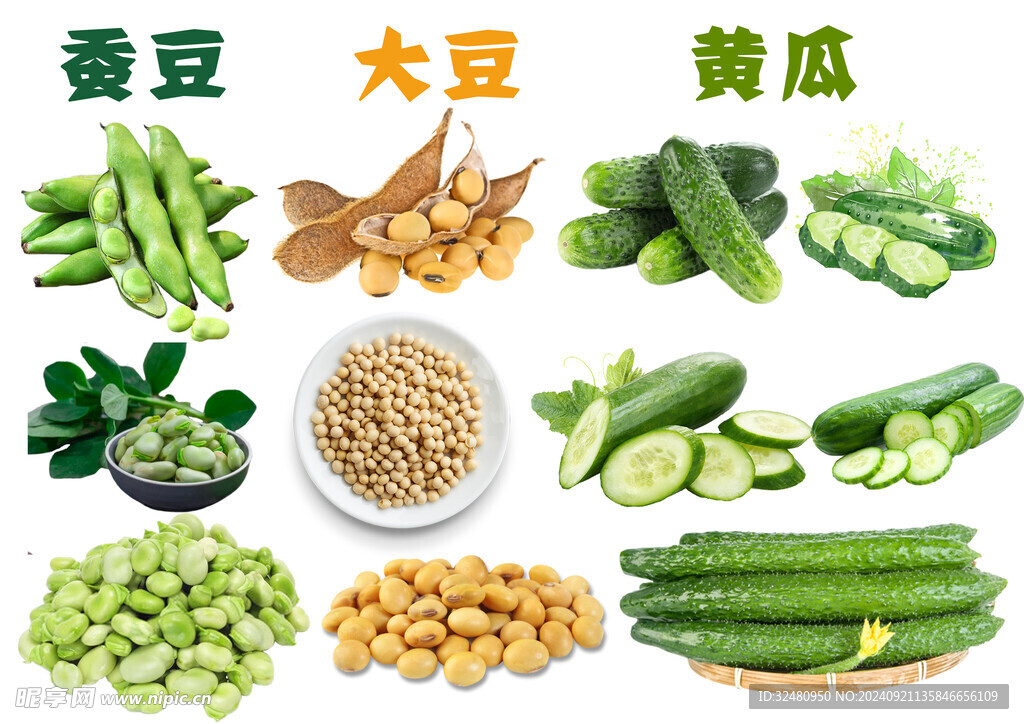 蔬菜 谷物