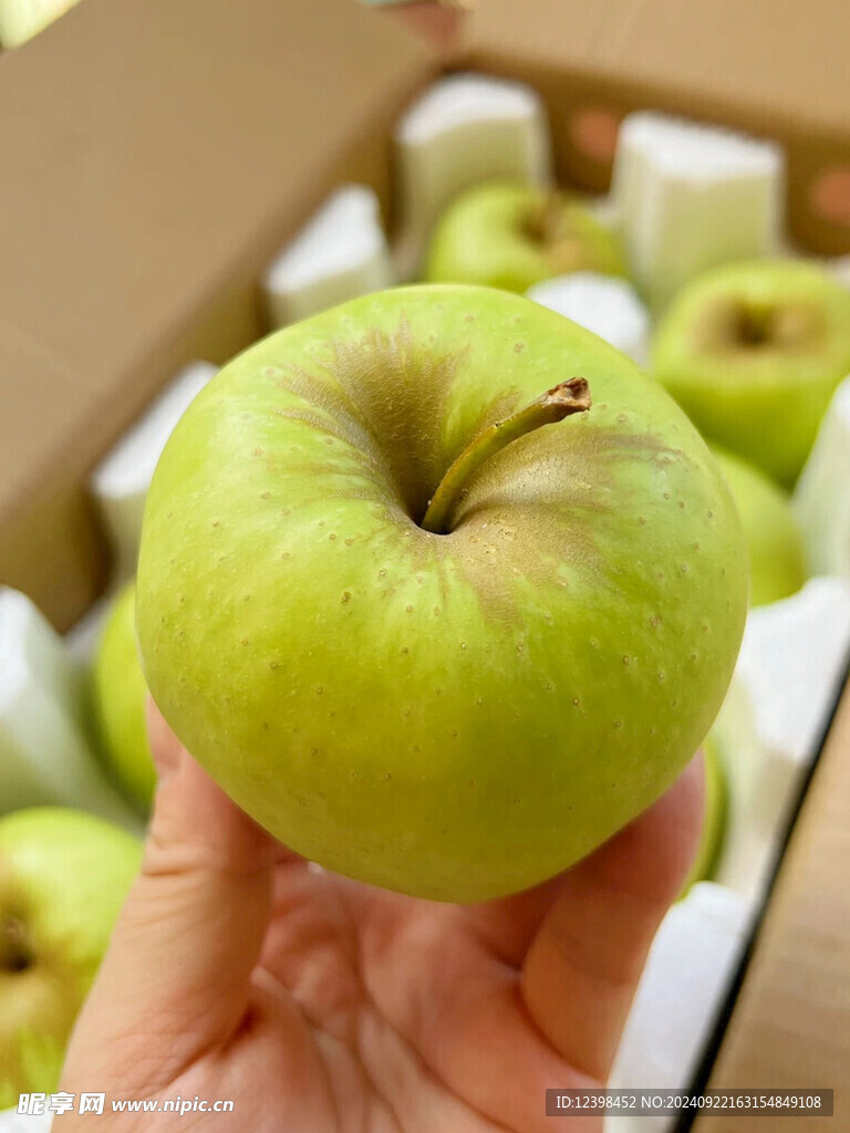 苹果