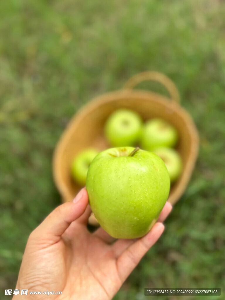 苹果