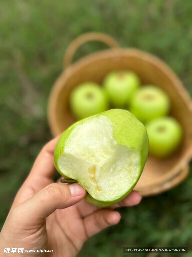 青苹果