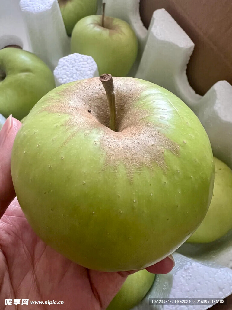 苹果