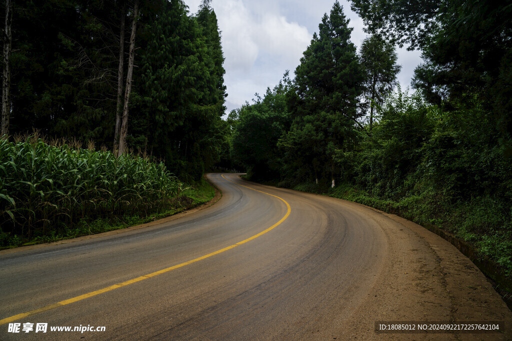 阴天道路