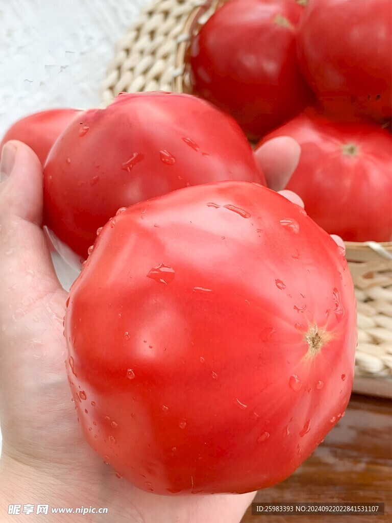 西红柿