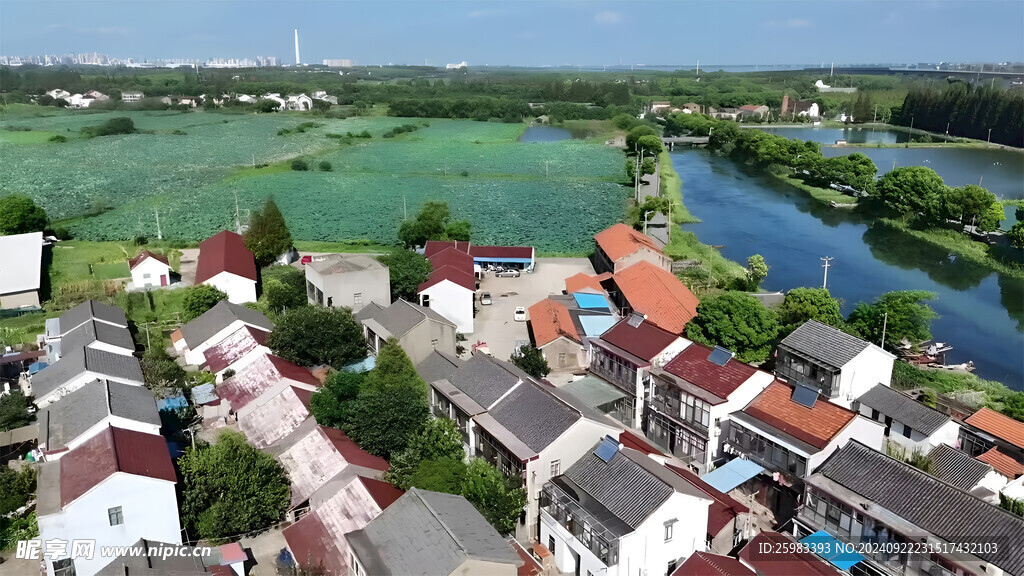 上海青浦农村