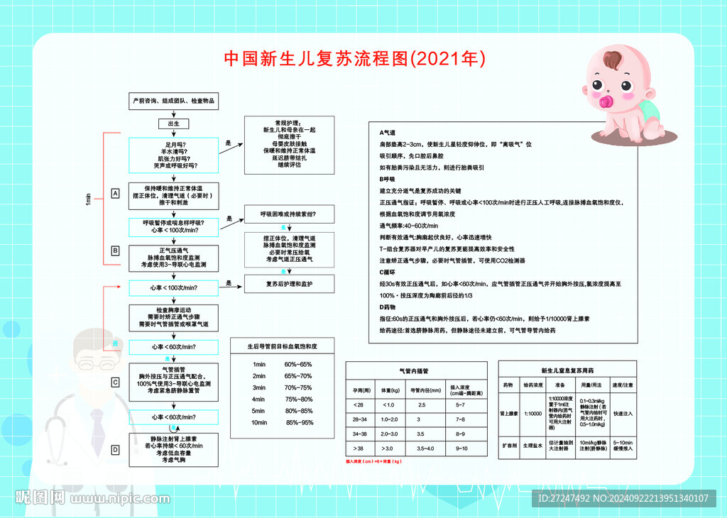 新生儿海报  复苏流程图  