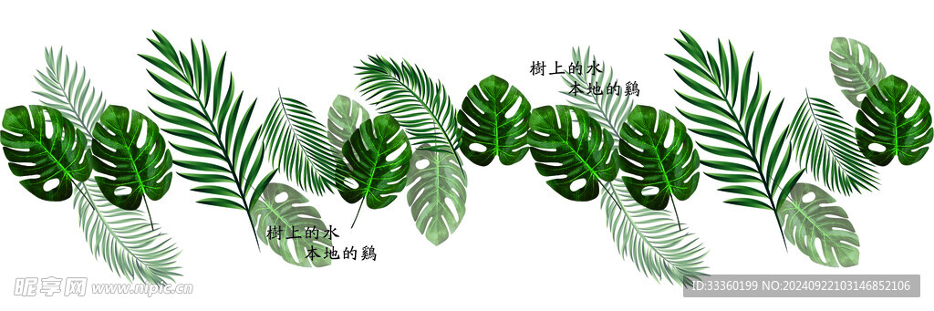 叶子