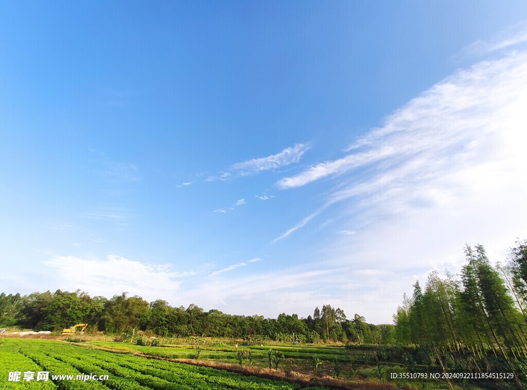 田园风光